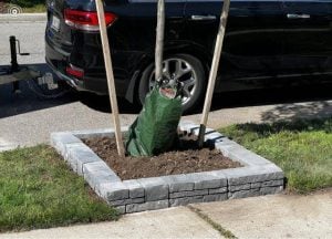 Mississauga Handyman Services Deck Repair